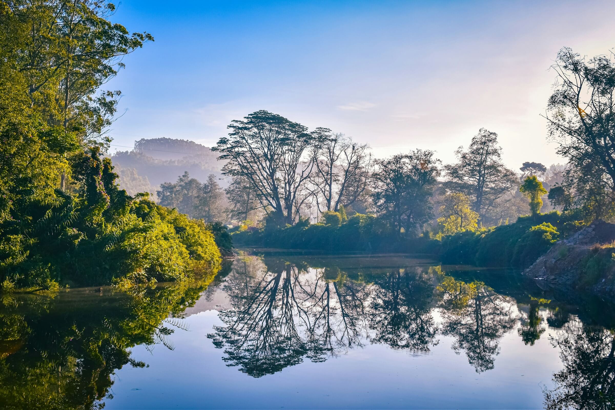Mirror-still water reflecting trees in morning light
