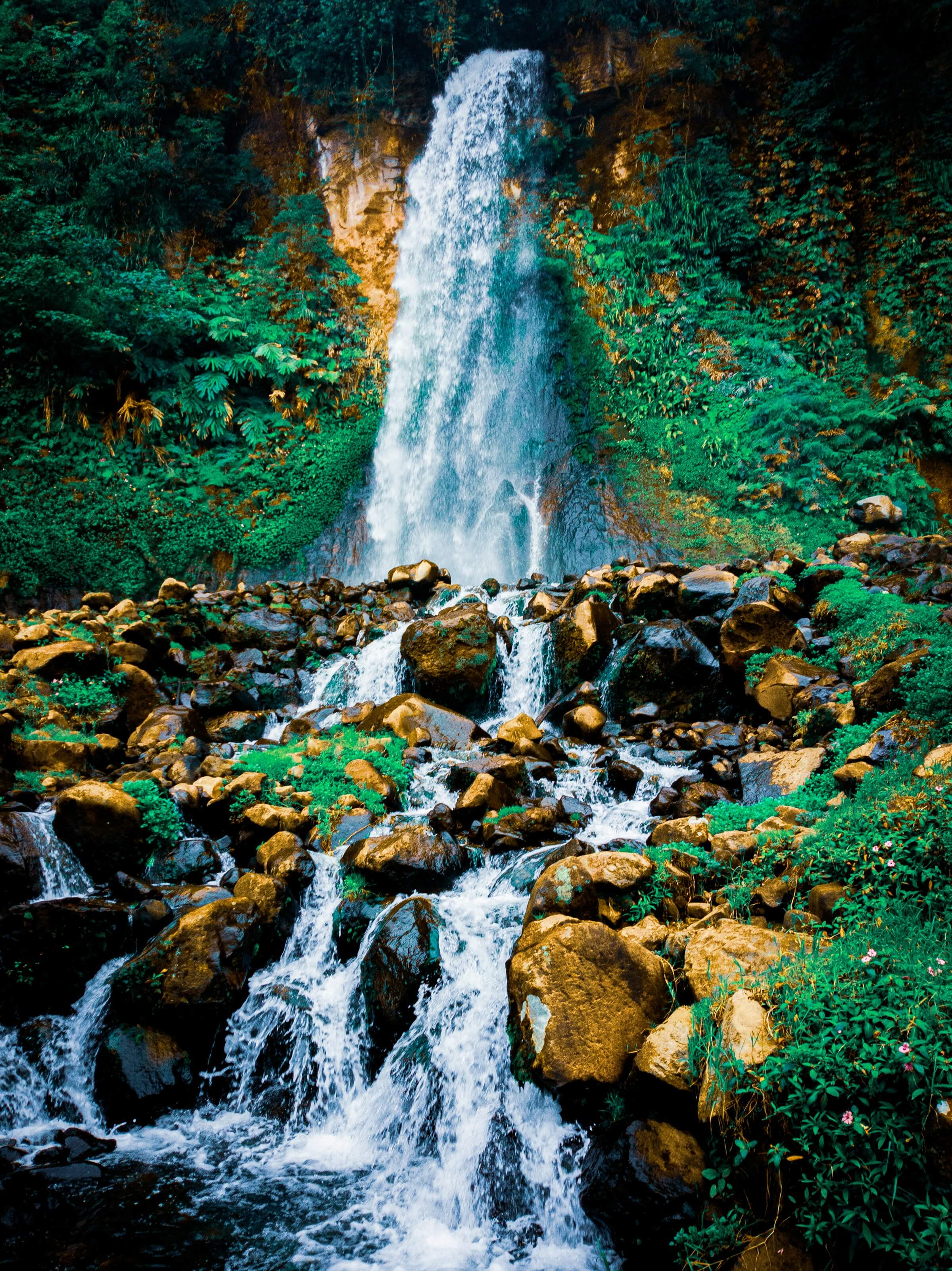 Waterfall running down between moss-covered rocks in lush forest